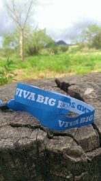 Viva Big Bend 2013 wristband