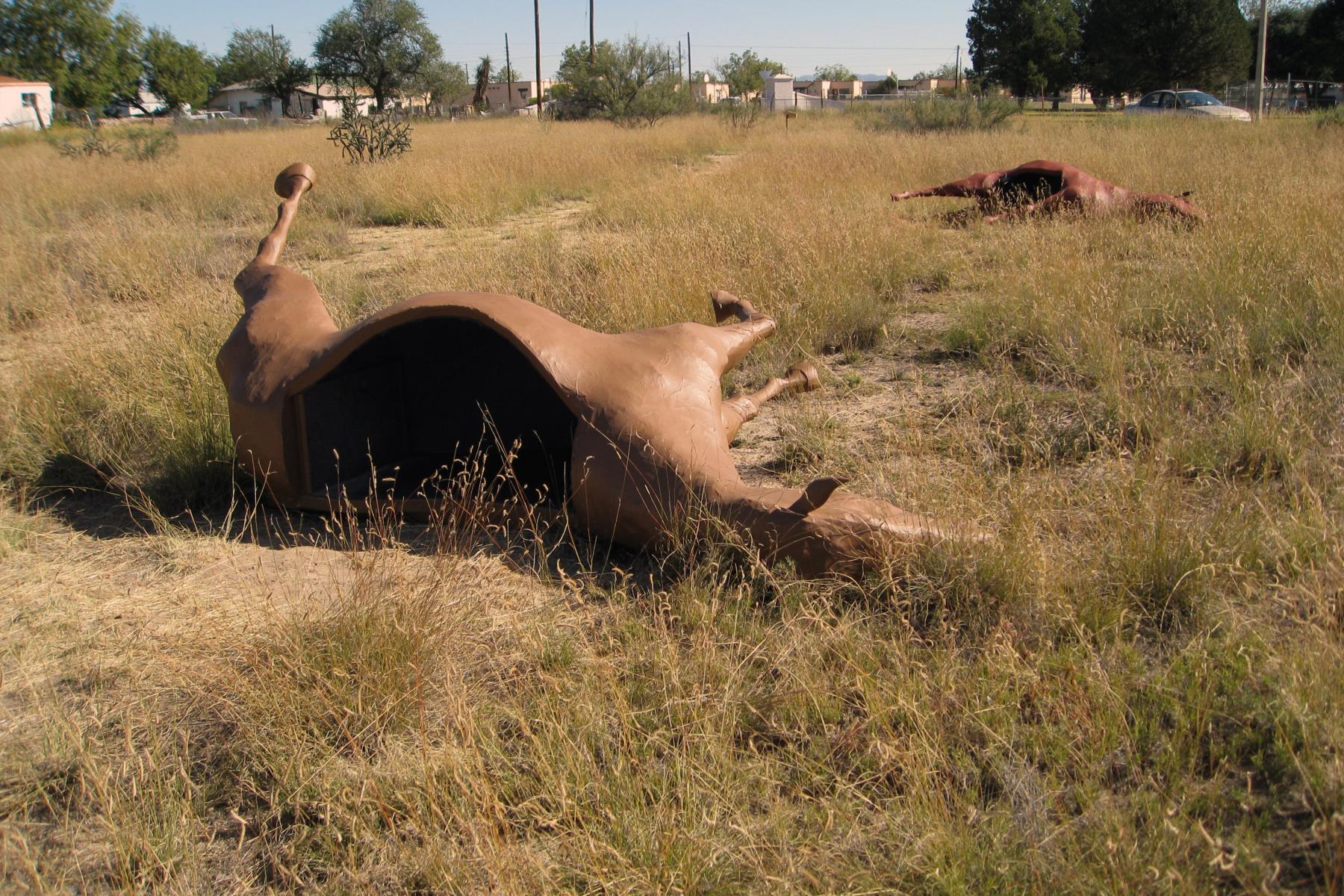 Deborah Stratman and Steve Badgett, Caballos de Vigilancia, 2008