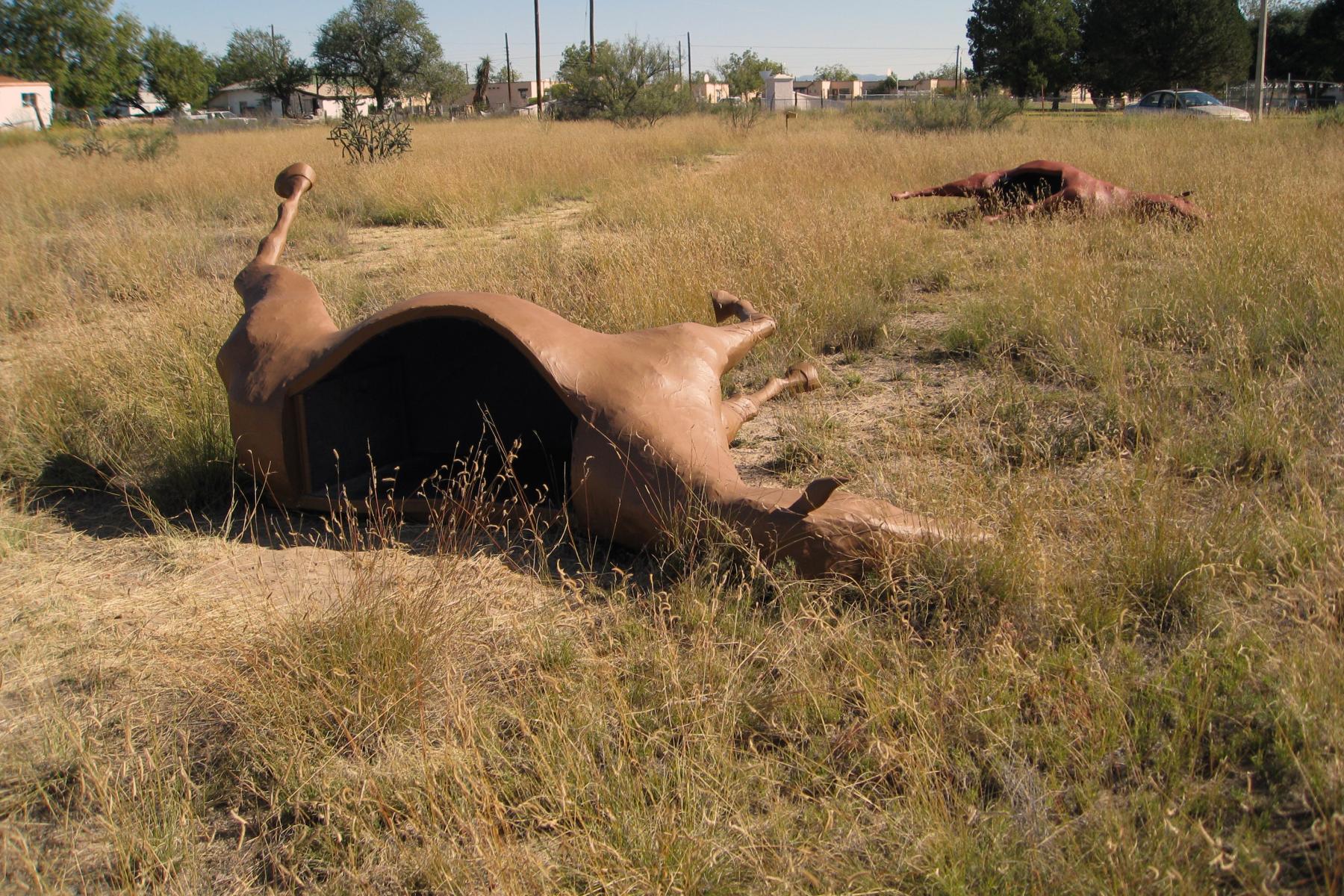 Deborah Stratman and Steve Badgett, Caballos de Vigilancia, 2008