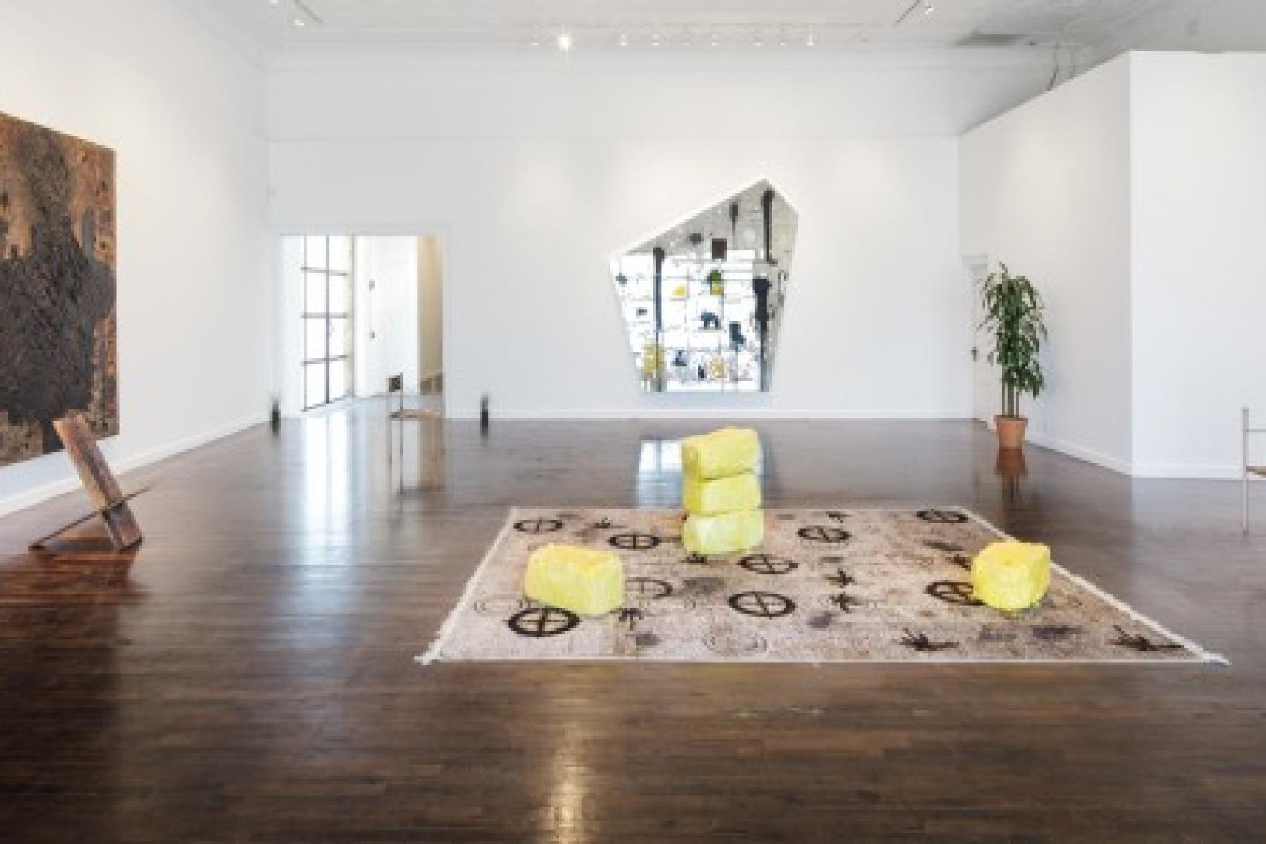 Installation view, North Gallery New Growth Rashid Johnson Photography © Fredrik Nilsen